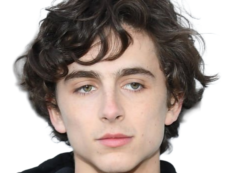 timothe chalamet acteur americain francais cinema homme vingtenaire vingtaine cheveux-bruns cheveux-boucles yeux-verts 2019