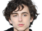 timothe-chalamet-acteur-americain-francais-cinema-homme-vingtenaire-vingtaine-cheveux-bruns-cheveux-boucles-yeux-verts-2019