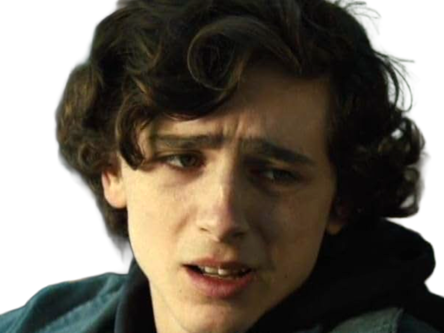 timothe chalamet acteur americain francais cinema homme vingtenaire vingtaine cheveux-bruns cheveux-boucles yeux-verts 2019