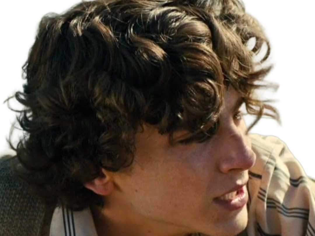 Sticker timothe chalamet acteur americain francais cinema homme vingtenaire vingtaine cheveux bruns cheveux boucles yeux verts 2019 par Dark-63