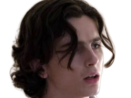 Sticker timothe chalamet acteur americain francais cinema homme vingtenaire vingtaine cheveux bruns cheveux boucles yeux verts 2019 par Dark-63