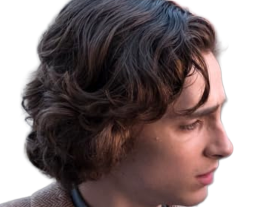 Sticker timothe chalamet acteur americain francais cinema homme vingtenaire vingtaine cheveux bruns cheveux boucles yeux verts 2019 par Dark-63