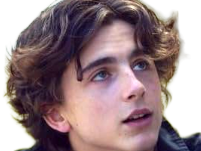 timothe chalamet acteur americain francais cinema homme vingtenaire vingtaine cheveux-bruns cheveux-boucles yeux-verts 2019