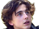 timothe-chalamet-acteur-americain-francais-cinema-homme-vingtenaire-vingtaine-cheveux-bruns-cheveux-boucles-yeux-verts-2019