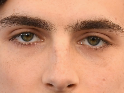 Sticker timothe chalamet acteur americain francais cinema homme vingtenaire vingtaine cheveux bruns cheveux boucles yeux verts 2019 par Dark-63