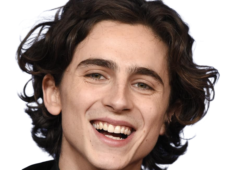 Sticker timothe chalamet acteur americain francais cinema homme vingtenaire vingtaine cheveux bruns cheveux boucles yeux verts 2019 par Dark-63