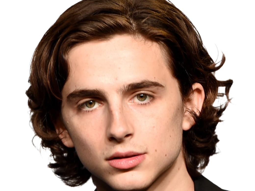 timothe chalamet acteur americain francais cinema homme vingtenaire vingtaine cheveux-bruns cheveux-boucles yeux-verts 2019