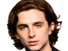 timothe-chalamet-acteur-americain-francais-cinema-homme-vingtenaire-vingtaine-cheveux-bruns-cheveux-boucles-yeux-verts-2019