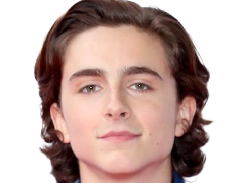 timothe chalamet acteur americain francais cinema homme vingtenaire vingtaine cheveux-bruns cheveux-boucles yeux-verts 2019