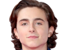 timothe-chalamet-acteur-americain-francais-cinema-homme-vingtenaire-vingtaine-cheveux-bruns-cheveux-boucles-yeux-verts-2019