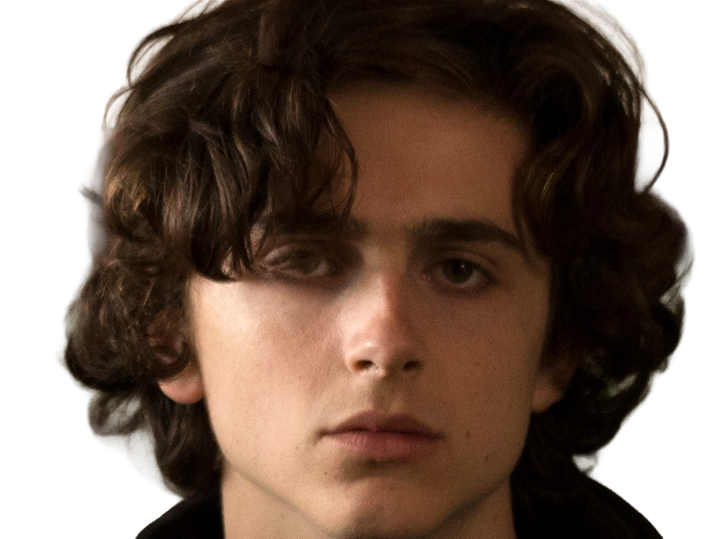 timothe chalamet acteur americain francais cinema homme vingtenaire vingtaine cheveux-bruns cheveux-boucles yeux-verts 2019