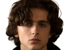 timothe-chalamet-acteur-americain-francais-cinema-homme-vingtenaire-vingtaine-cheveux-bruns-cheveux-boucles-yeux-verts-2019