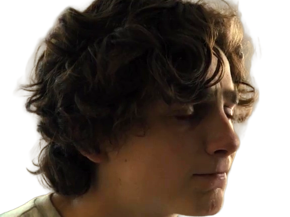 timothe chalamet acteur americain francais cinema homme vingtenaire vingtaine cheveux-bruns cheveux-boucles yeux-verts 2019