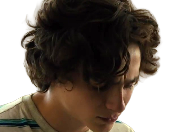 timothe chalamet acteur americain francais cinema homme vingtenaire vingtaine cheveux-bruns cheveux-boucles yeux-verts 2019