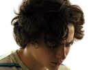 timothe-chalamet-acteur-americain-francais-cinema-homme-vingtenaire-vingtaine-cheveux-bruns-cheveux-boucles-yeux-verts-2019