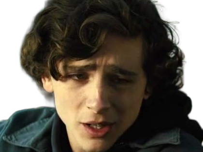 timothe chalamet acteur americain francais cinema homme vingtenaire vingtaine cheveux-bruns cheveux-boucles yeux-verts 2019