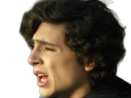 timothe chalamet acteur americain francais cinema homme vingtenaire vingtaine cheveux-bruns cheveux-boucles yeux-verts 2019