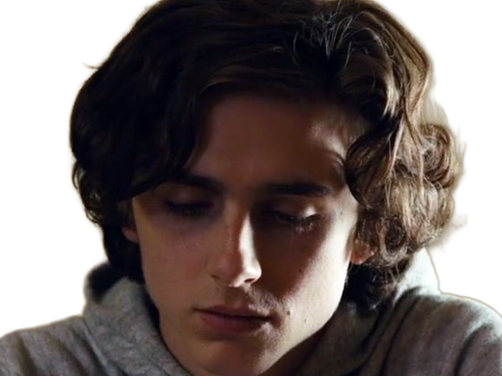 timothe chalamet acteur americain francais cinema homme vingtenaire vingtaine cheveux-bruns cheveux-boucles yeux-verts 2019