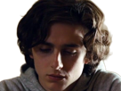 timothe-chalamet-acteur-americain-francais-cinema-homme-vingtenaire-vingtaine-cheveux-bruns-cheveux-boucles-yeux-verts-2019