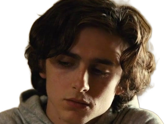 timothe chalamet acteur americain francais cinema homme vingtenaire vingtaine cheveux-bruns cheveux-boucles yeux-verts 2019