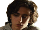 timothe-chalamet-acteur-americain-francais-cinema-homme-vingtenaire-vingtaine-cheveux-bruns-cheveux-boucles-yeux-verts-2019