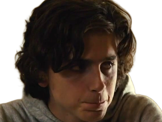 timothe chalamet acteur americain francais cinema homme vingtenaire vingtaine cheveux-bruns cheveux-boucles yeux-verts 2019