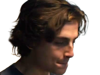 timothe chalamet acteur americain francais cinema homme vingtenaire vingtaine cheveux-bruns cheveux-boucles yeux-verts 2019