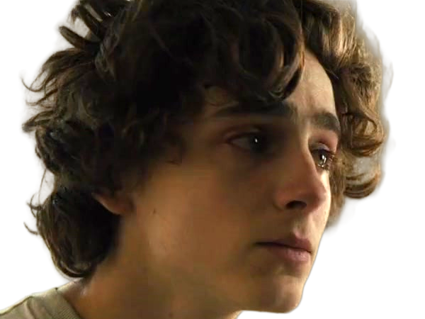 timothe chalamet acteur americain francais cinema homme vingtenaire vingtaine cheveux-bruns cheveux-boucles yeux-verts 2019