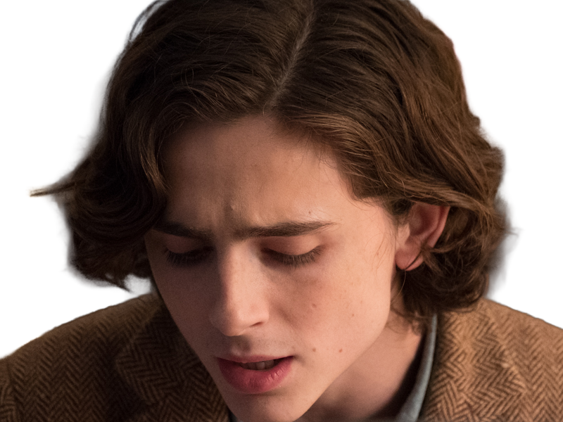 timothe chalamet acteur americain francais cinema homme vingtenaire vingtaine cheveux-bruns cheveux-boucles yeux-verts 2019