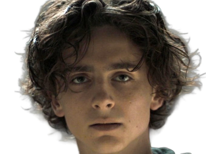 timothe chalamet acteur americain francais cinema homme vingtenaire vingtaine cheveux-bruns cheveux-boucles yeux-verts 2019