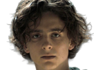 timothe-chalamet-acteur-americain-francais-cinema-homme-vingtenaire-vingtaine-cheveux-bruns-cheveux-boucles-yeux-verts-2019