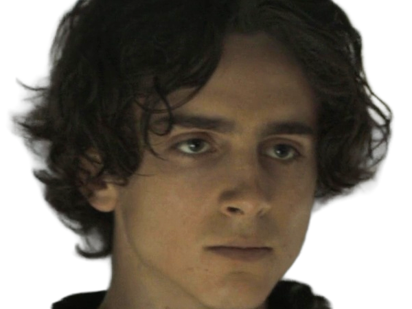 timothe chalamet acteur americain francais cinema homme vingtenaire vingtaine cheveux-bruns cheveux-boucles yeux-verts 2019