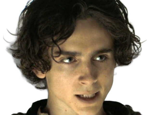 timothe chalamet acteur americain francais cinema homme vingtenaire vingtaine cheveux-bruns cheveux-boucles yeux-verts 2019