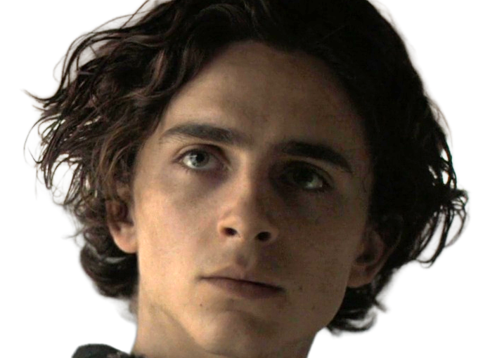 timothe chalamet acteur americain francais cinema homme vingtenaire vingtaine cheveux-bruns cheveux-boucles yeux-verts 2019