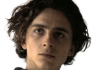 timothe-chalamet-acteur-americain-francais-cinema-homme-vingtenaire-vingtaine-cheveux-bruns-cheveux-boucles-yeux-verts-2019