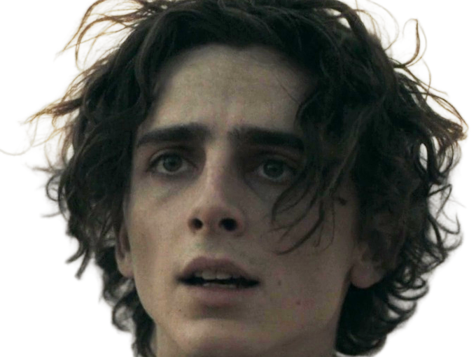 timothe chalamet acteur americain francais cinema homme vingtenaire vingtaine cheveux-bruns cheveux-boucles yeux-verts 2019