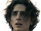 timothe-chalamet-acteur-americain-francais-cinema-homme-vingtenaire-vingtaine-cheveux-bruns-cheveux-boucles-yeux-verts-2019