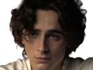 timothe-chalamet-acteur-americain-francais-cinema-homme-vingtenaire-vingtaine-cheveux-bruns-cheveux-boucles-yeux-verts-2019