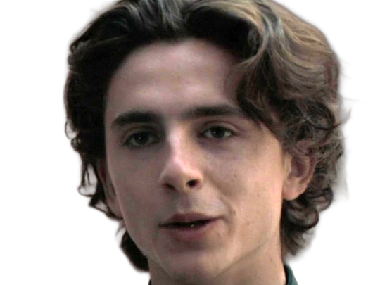 timothe chalamet acteur americain francais cinema homme vingtenaire vingtaine cheveux-bruns cheveux-boucles yeux-verts 2019