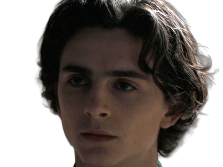 timothe chalamet acteur americain francais cinema homme vingtenaire vingtaine cheveux-bruns cheveux-boucles yeux-verts 2019