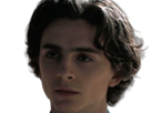 timothe-chalamet-acteur-americain-francais-cinema-homme-vingtenaire-vingtaine-cheveux-bruns-cheveux-boucles-yeux-verts-2019