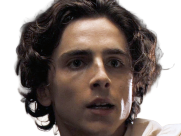 timothe chalamet acteur americain francais cinema homme vingtenaire vingtaine cheveux-bruns cheveux-boucles yeux-verts 2019