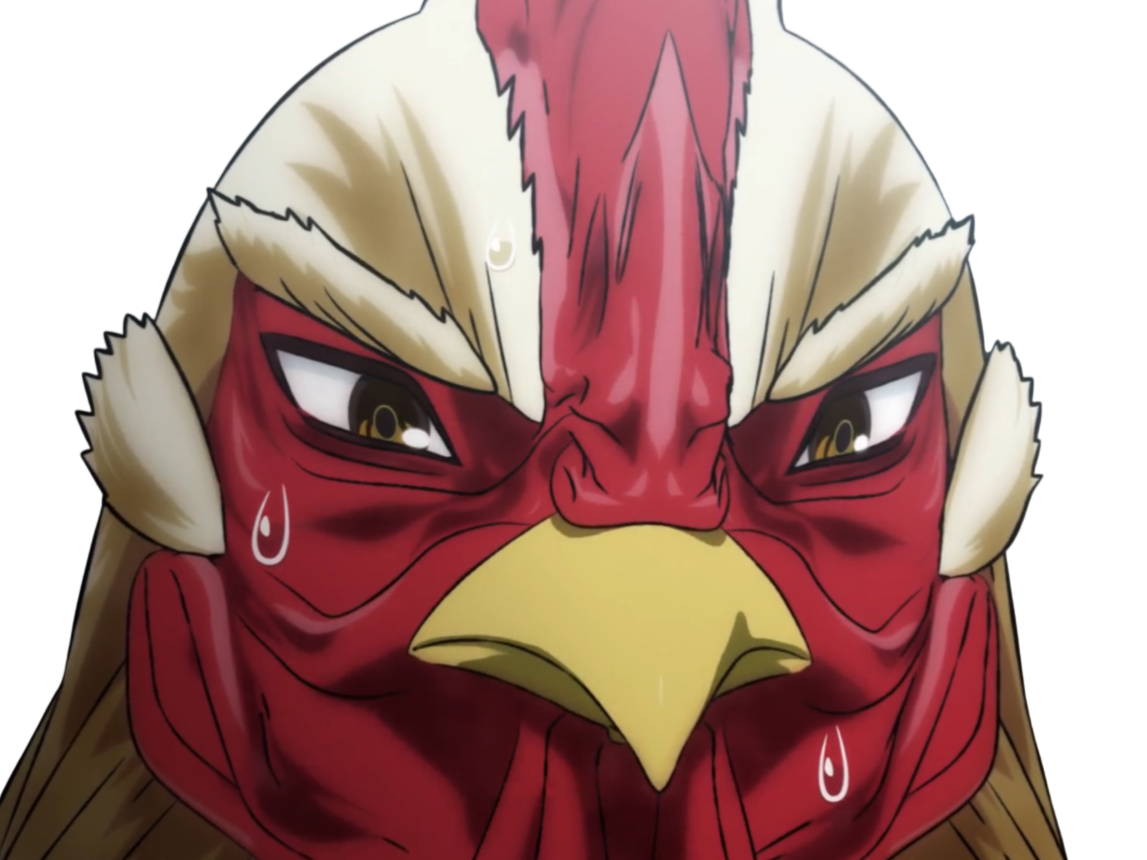 niwatori fighter rooster coq de baston keiji
