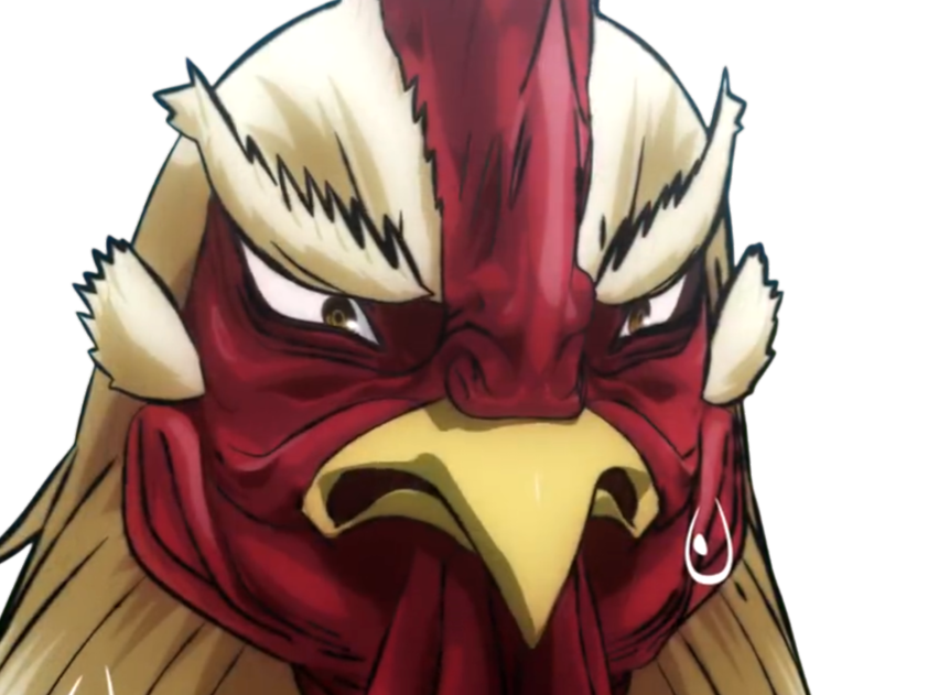 niwatori fighter rooster coq de baston keiji