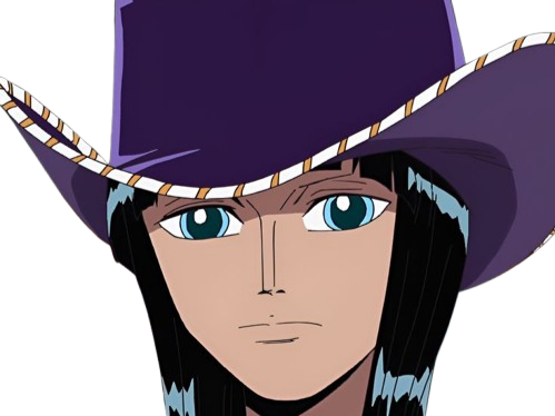 nico robin one piece ninon cheveux noir yeux bleu fic bloop chapeau violet
