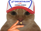 chat-casquette-cigarette-main-decathlon-cma-cgm-paul-seixas-velo-cyclisme-pogi-chokbar-d4