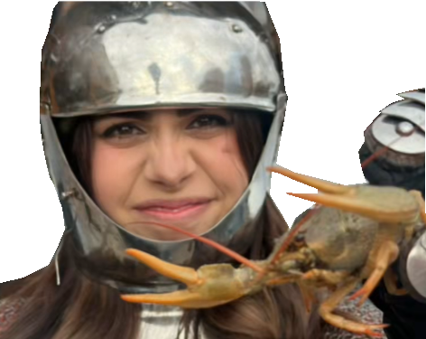 tarax femme chevaliere medieval moyen-age armure