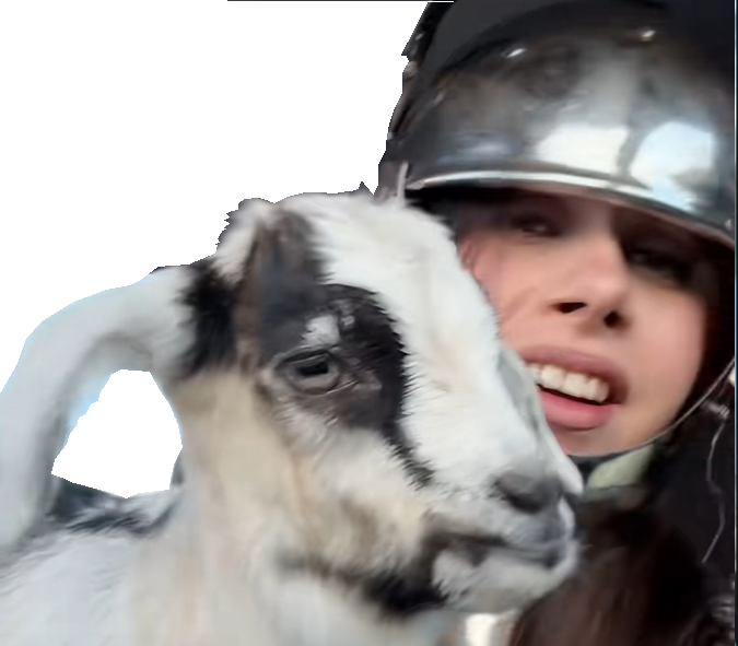 tarax femme chevaliere medieval moyen-age armure chevalier