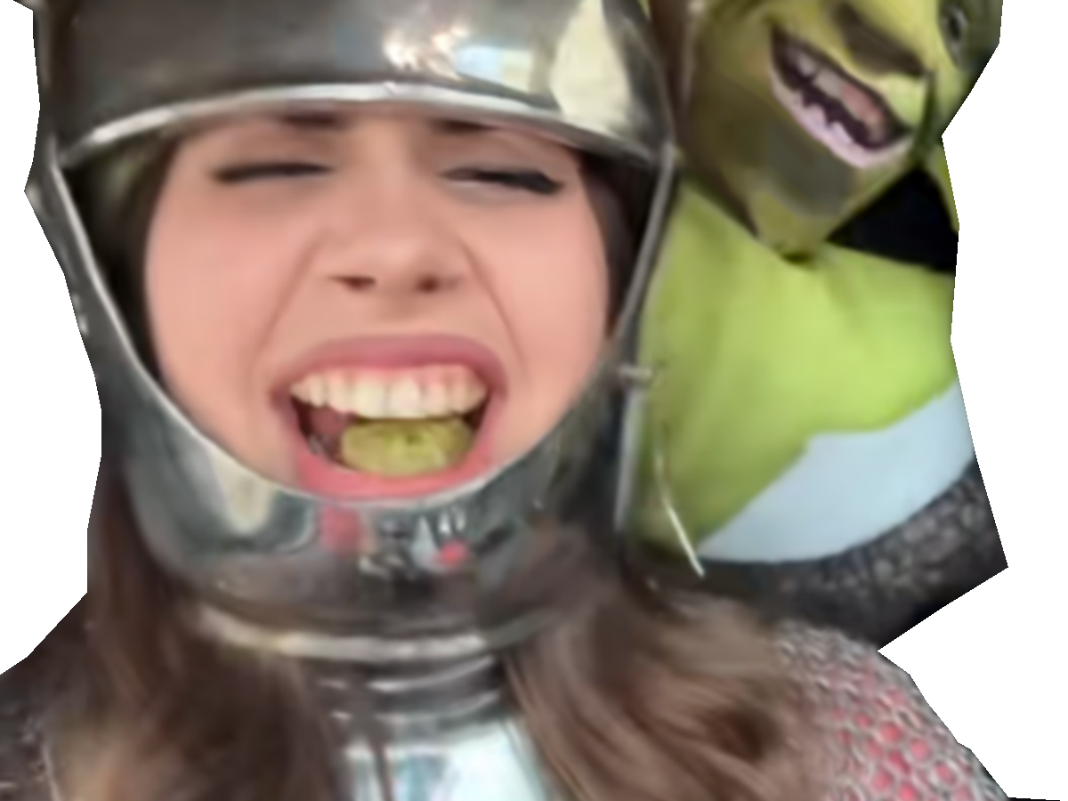 tarax femme chevaliere medieval moyen-age armure chevalier shrek cornichon