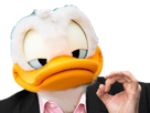 feh-canard